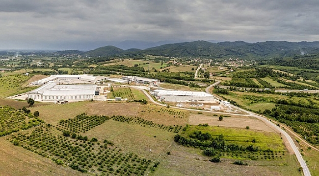 Gumusova Osb De Yangin