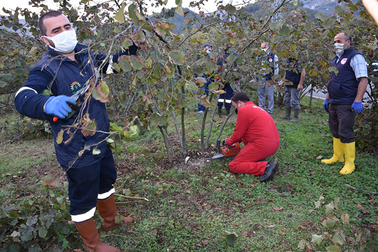 Oguzhan 2020 Kasim Findik1-1