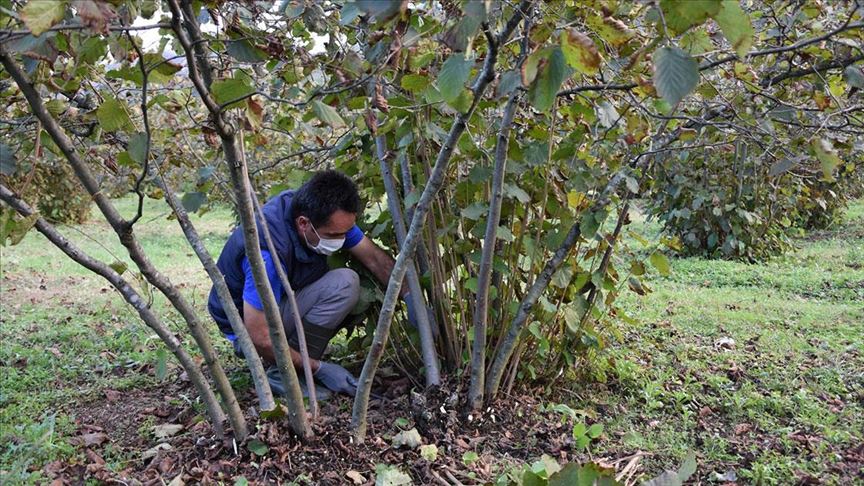 Thumbs B C 2Beb4F5A04554B7Bb6F562Ce491F52A1