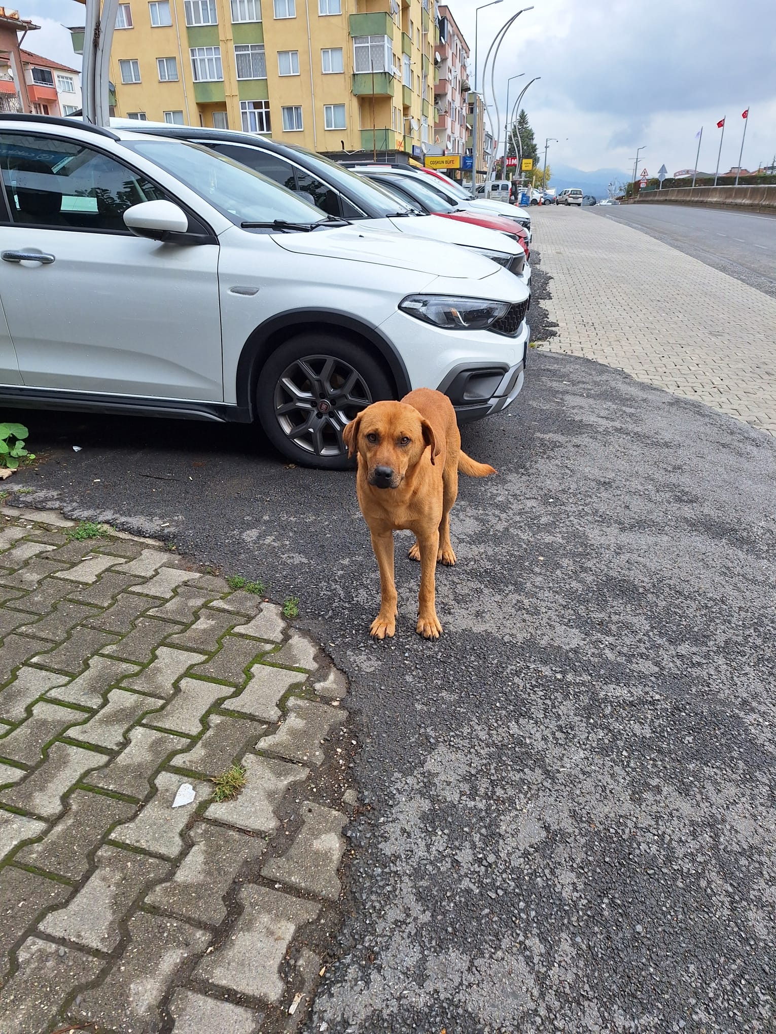 000517E3 3568 4A83 8A01 Ef4Ae608Befe