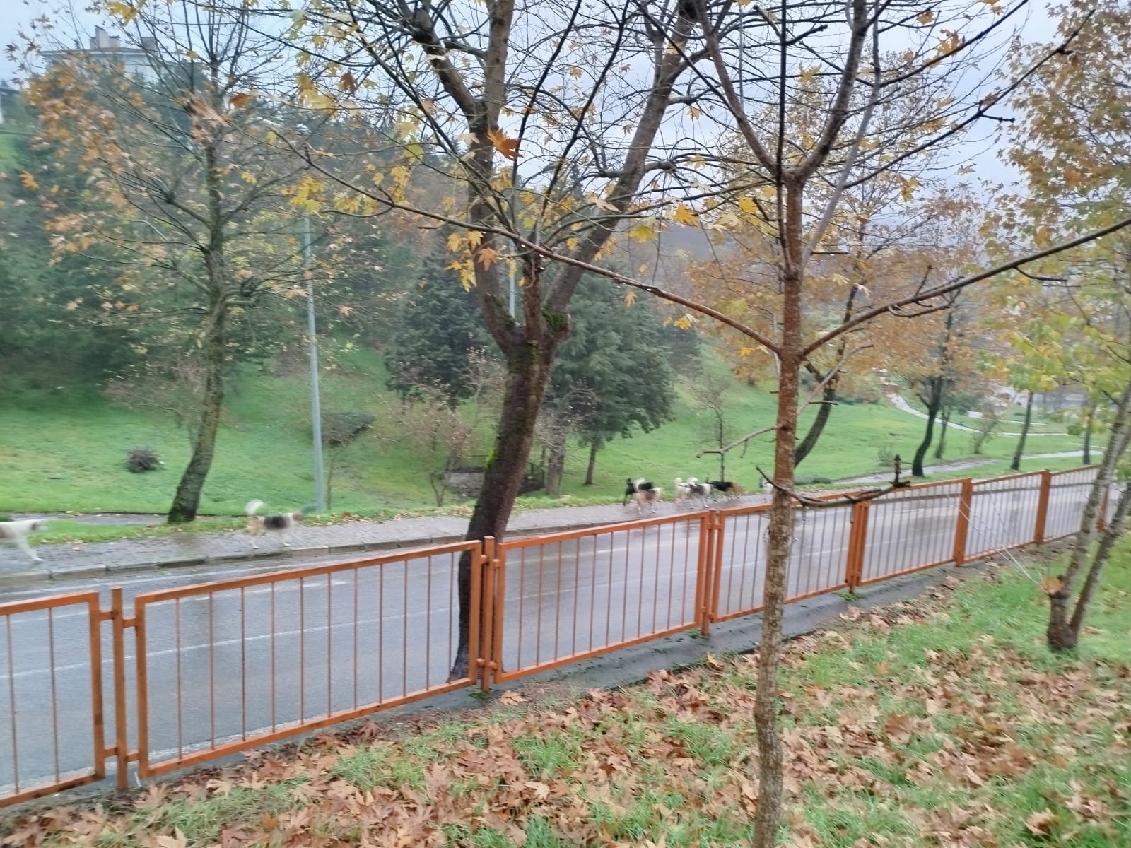 071B87E2 Acdd 4Da7 Ab23 265Bba792Ff6