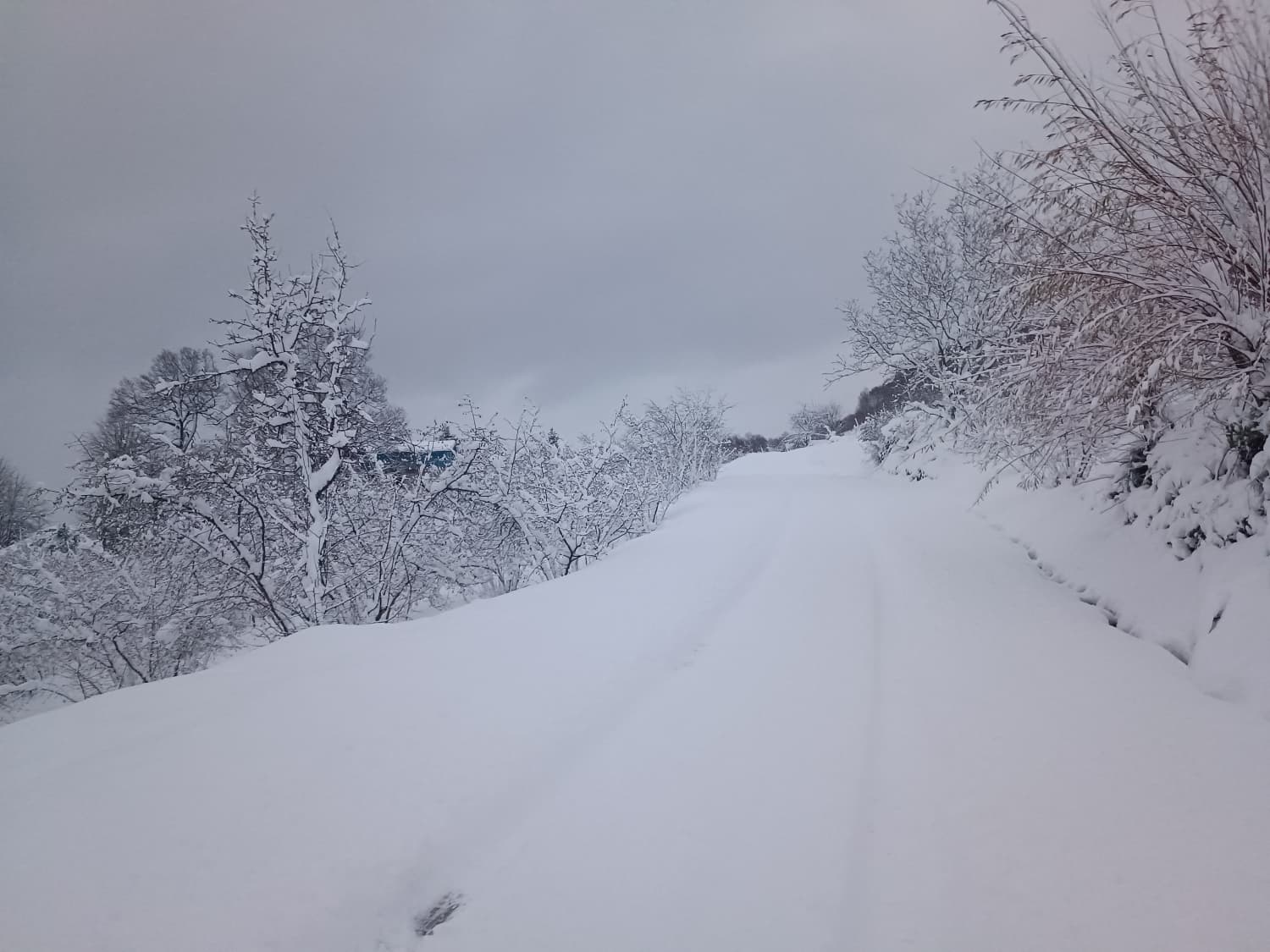 29Be9338 1Fd6 48Fe 8273 0Cea6F854045