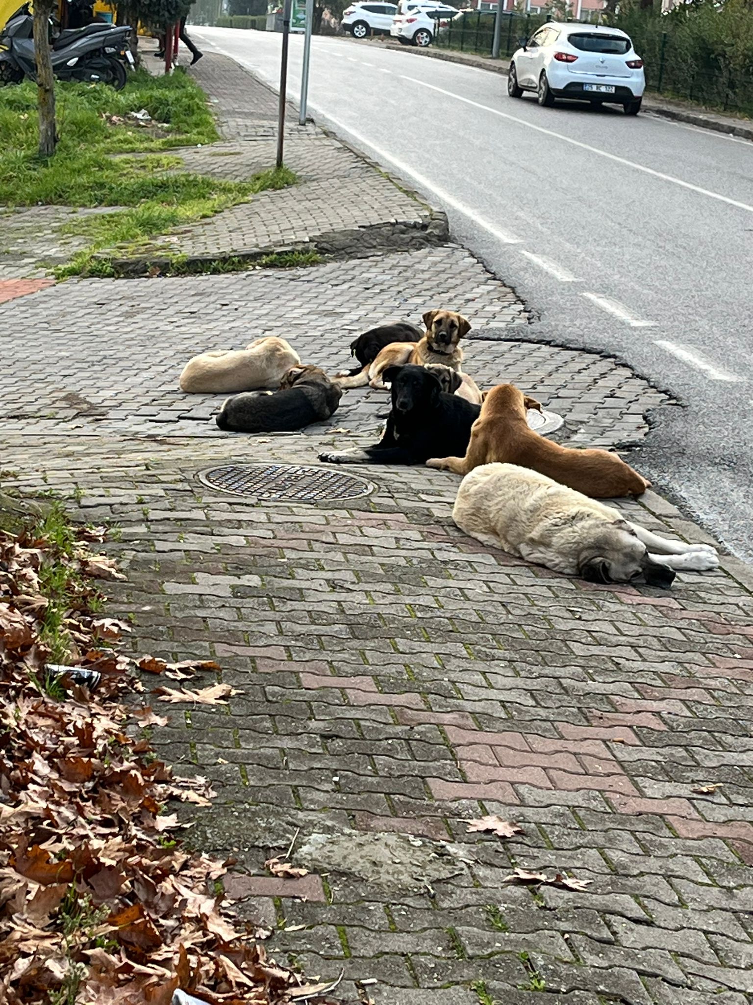 430264C7 3A69 4140 Ac8D 360Cac83B000