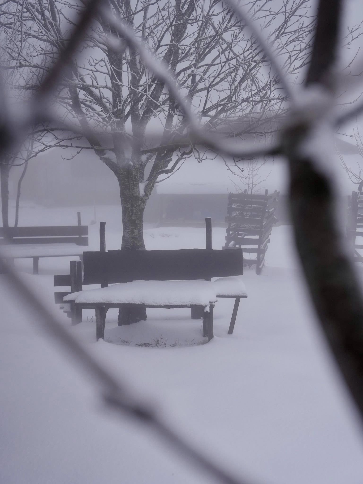 597742037 1321033190069068 7699004968628148755 N