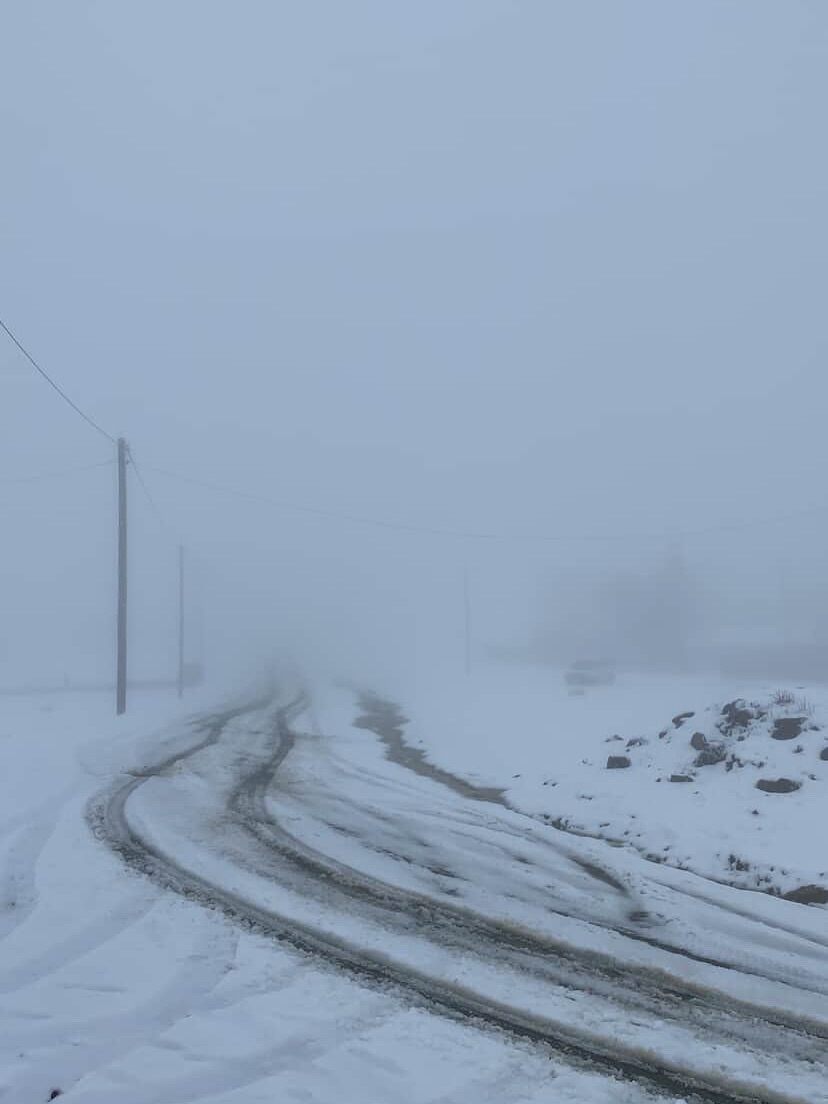 598041191 18182055829361451 1884302550621970545 N