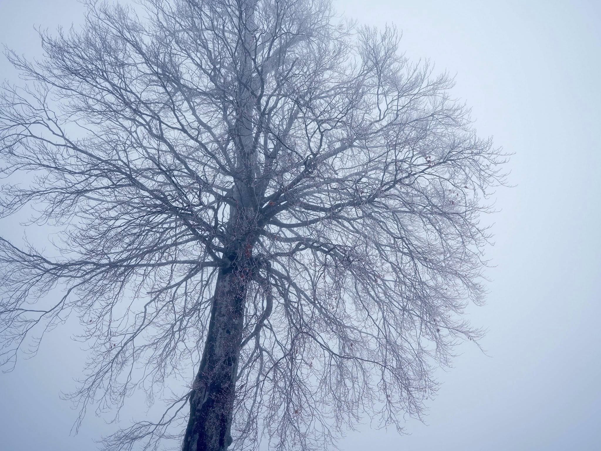 599782637 1321032843402436 502741779352641394 N