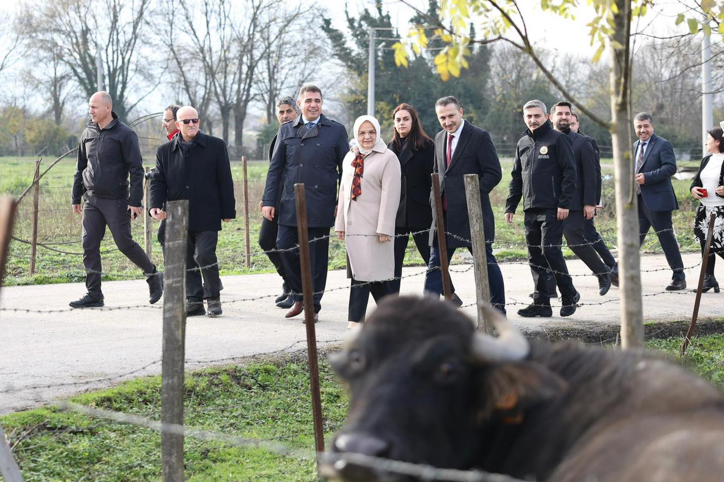 600302253 1255766779921980 7927777232105237471 N