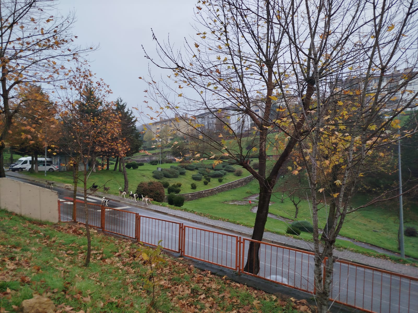 605Ee83B Bf6A 488D Be85 Ce402Fcd5E42