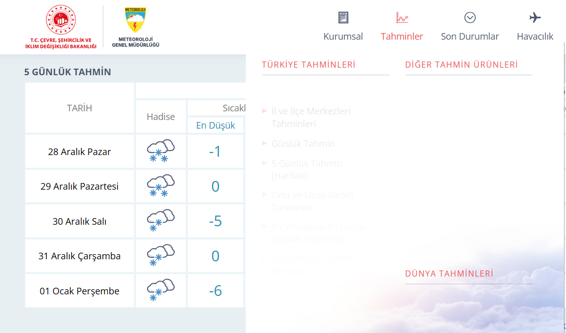 Capture 20251228 110308