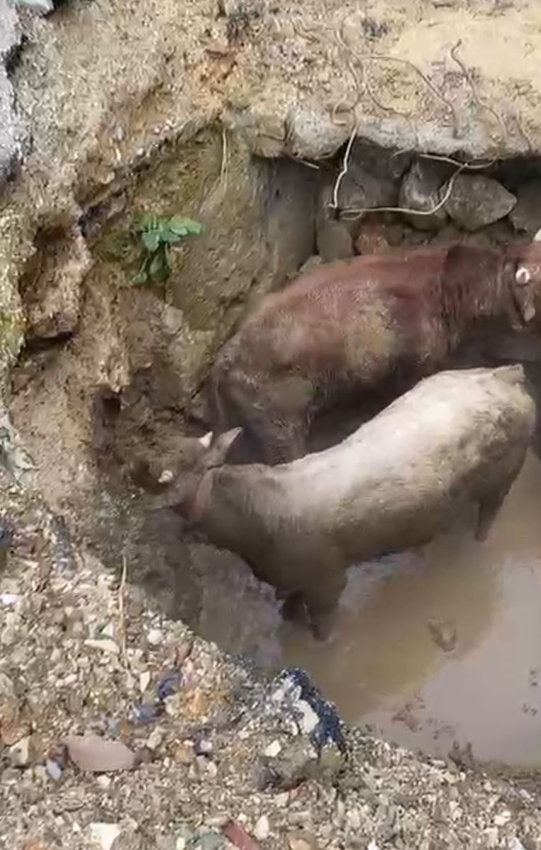 Ekran Alıntısı-225