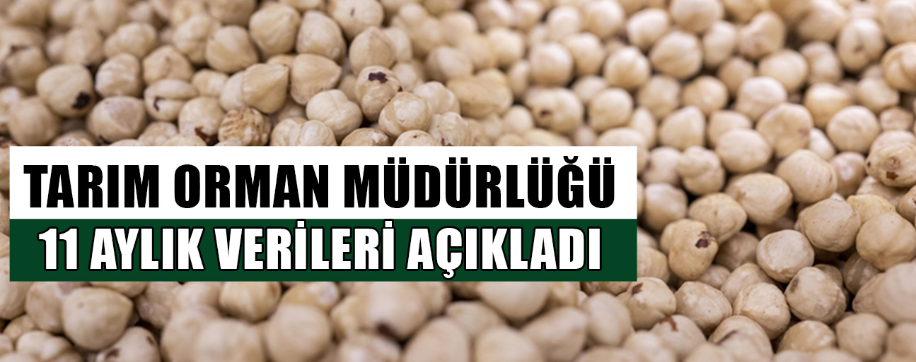 DÜZCE’DEN AB ÜLKELERİNE 16 BİN 350 TON FINDIK İHRAÇ EDİLDİ