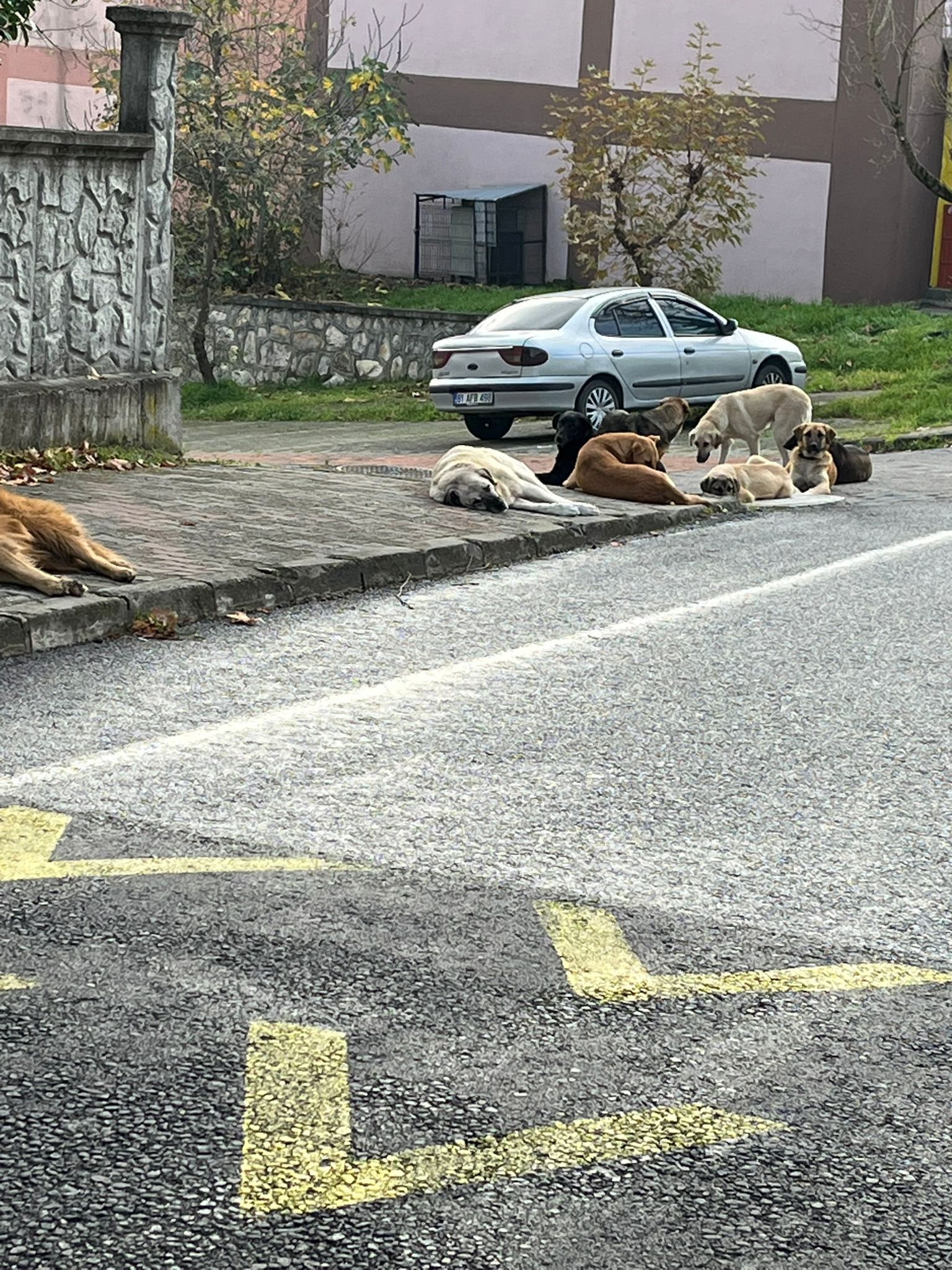 F455A40D 082E 4D80 A201 E157Df3C6883