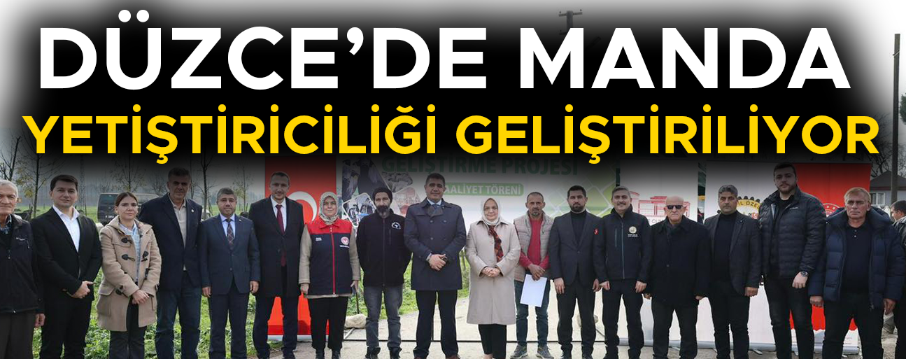 ÜRETİCİLERE 17 ADET MANDA BOĞASI DAĞITILDI