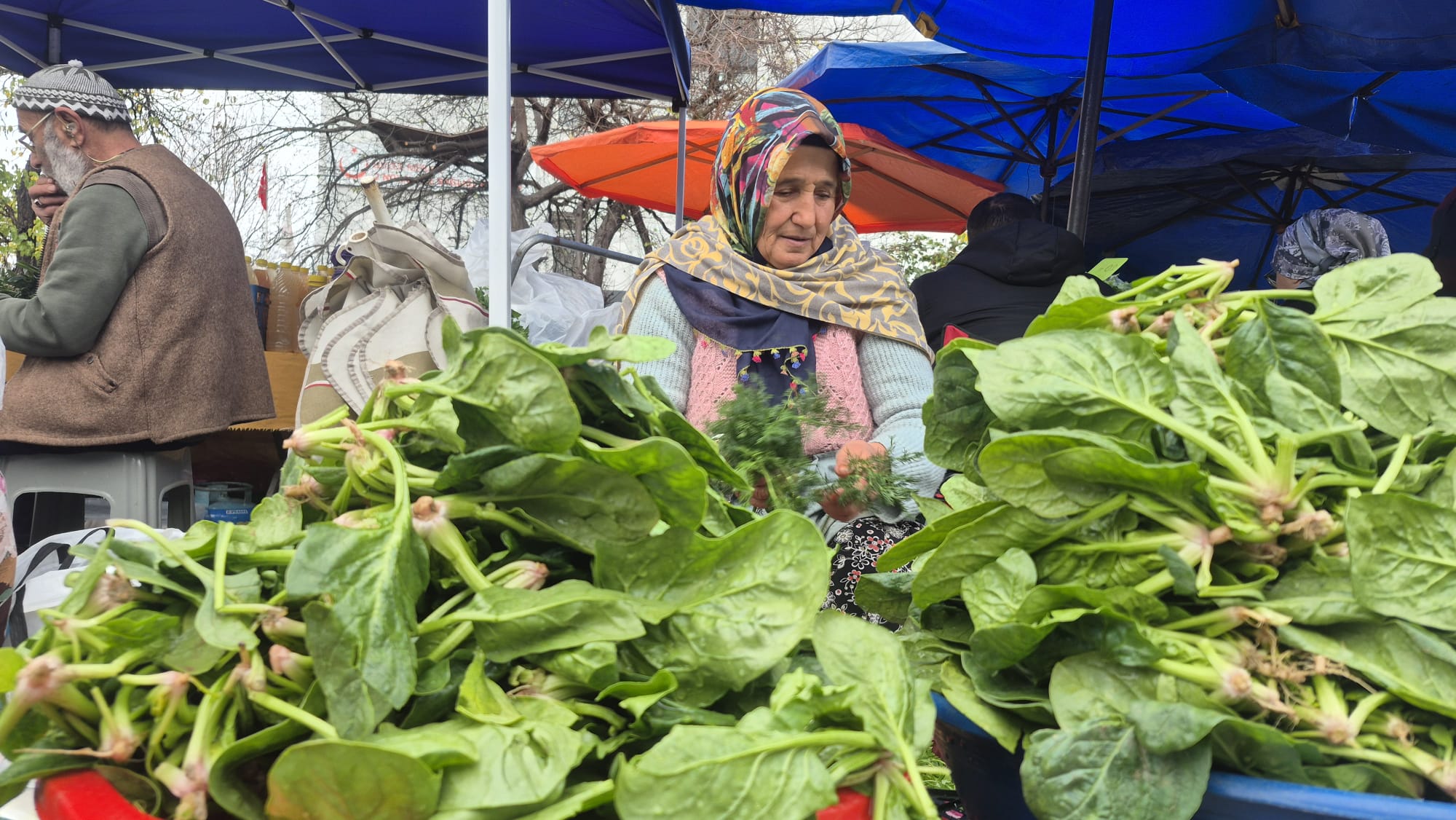 Whatsapp Image 2025 12 09 At 14.19.36 (1)-1