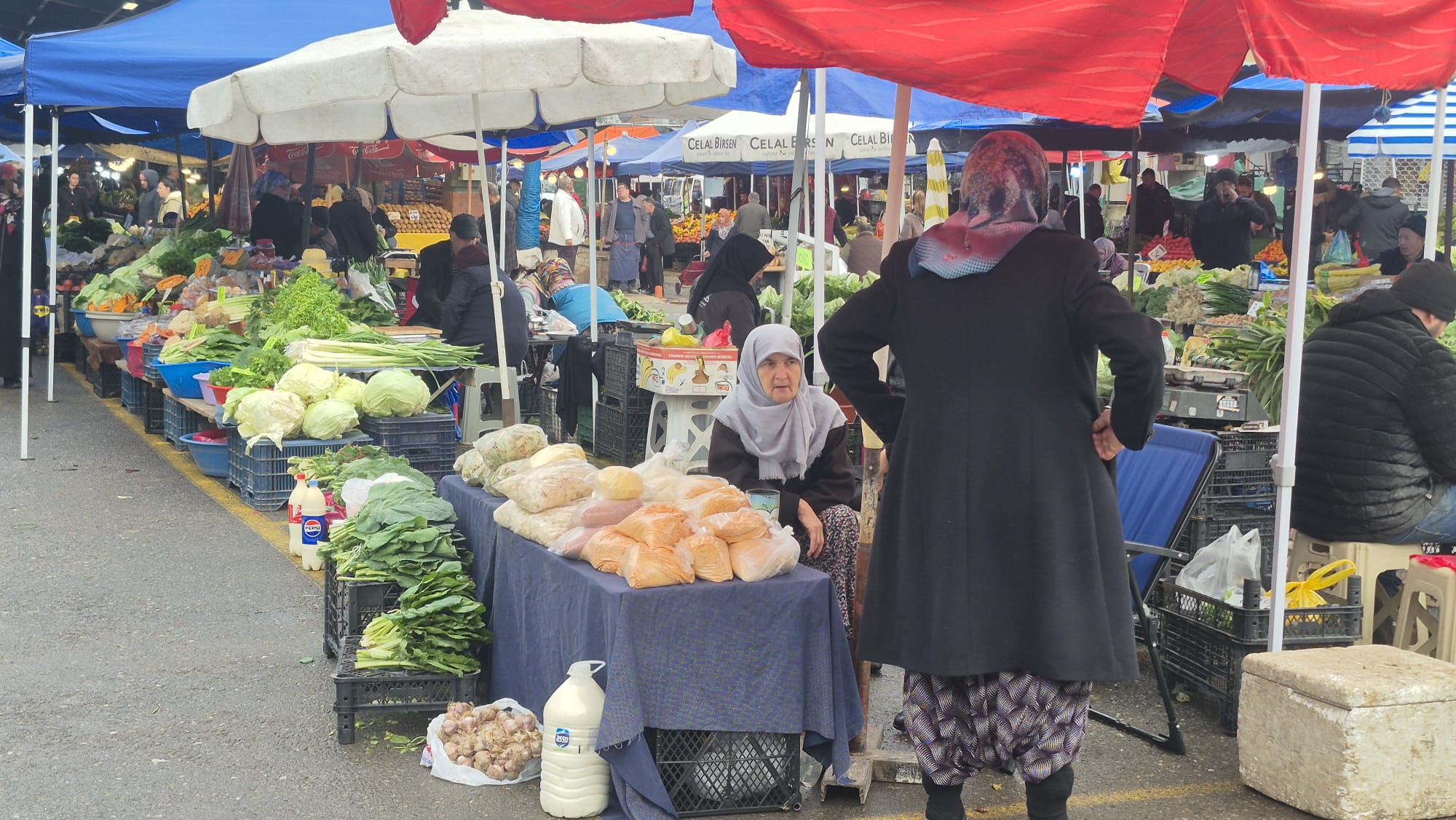 Whatsapp Image 2025 12 09 At 14.19.38