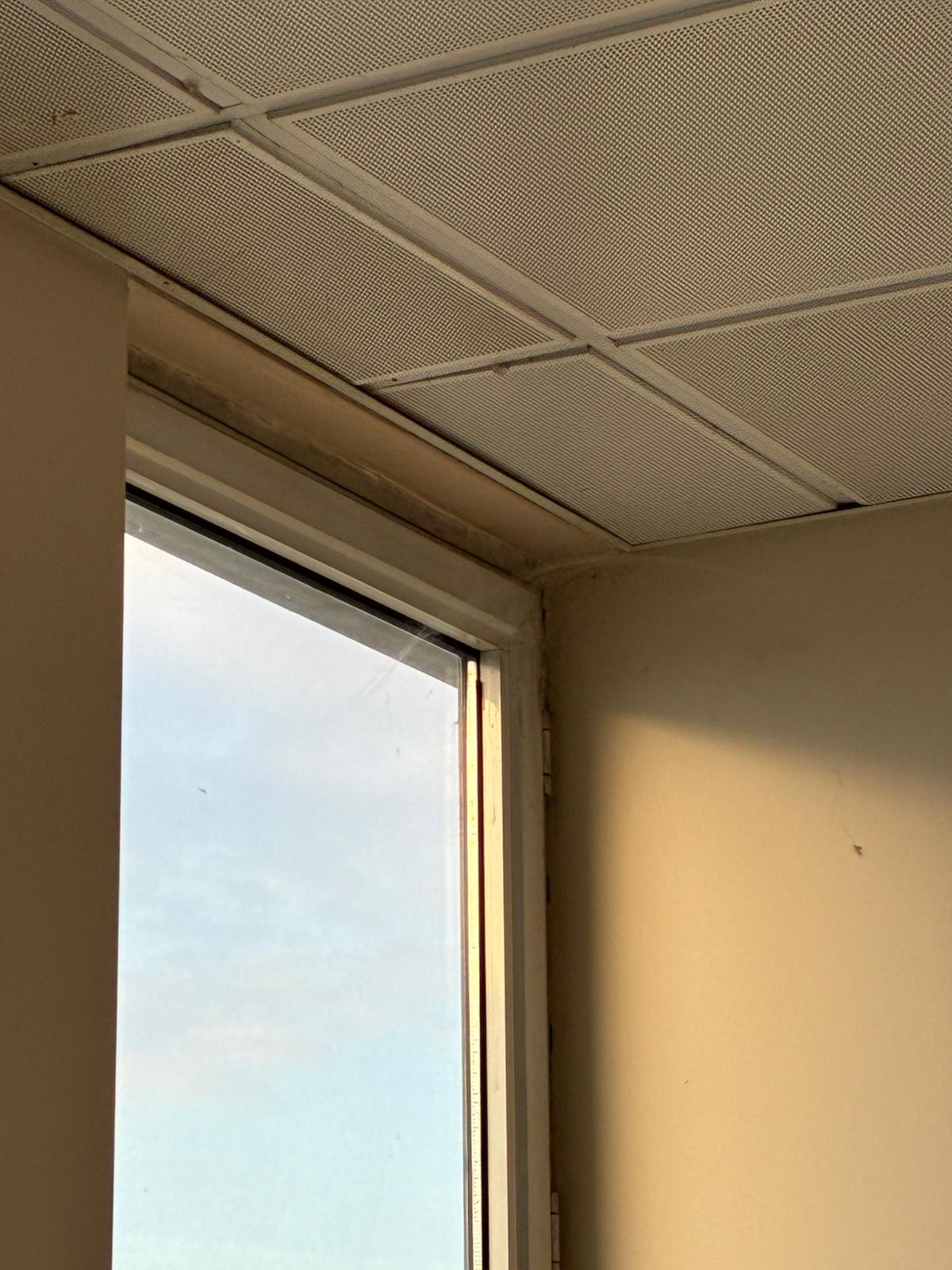 Whatsapp Image 2025 12 16 At 14.18.14