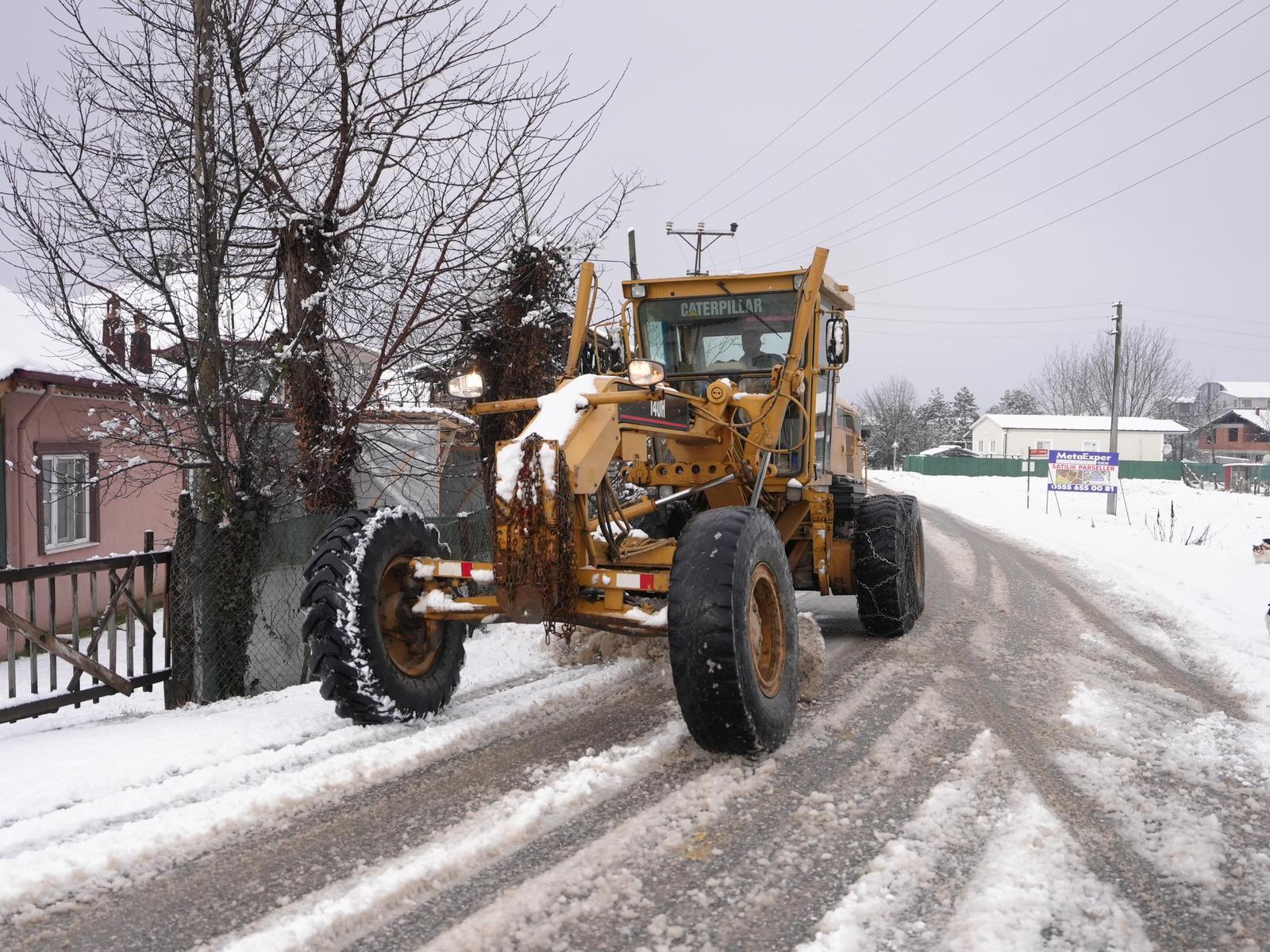 2D9Acc11 8419 4446 Ac89 568F8F49Daea