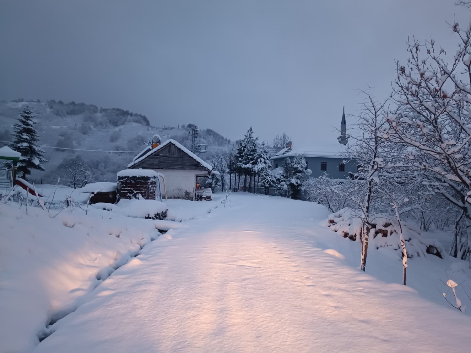 448118Df 9D79 4Bd5 B708 7Cd42Cff8581