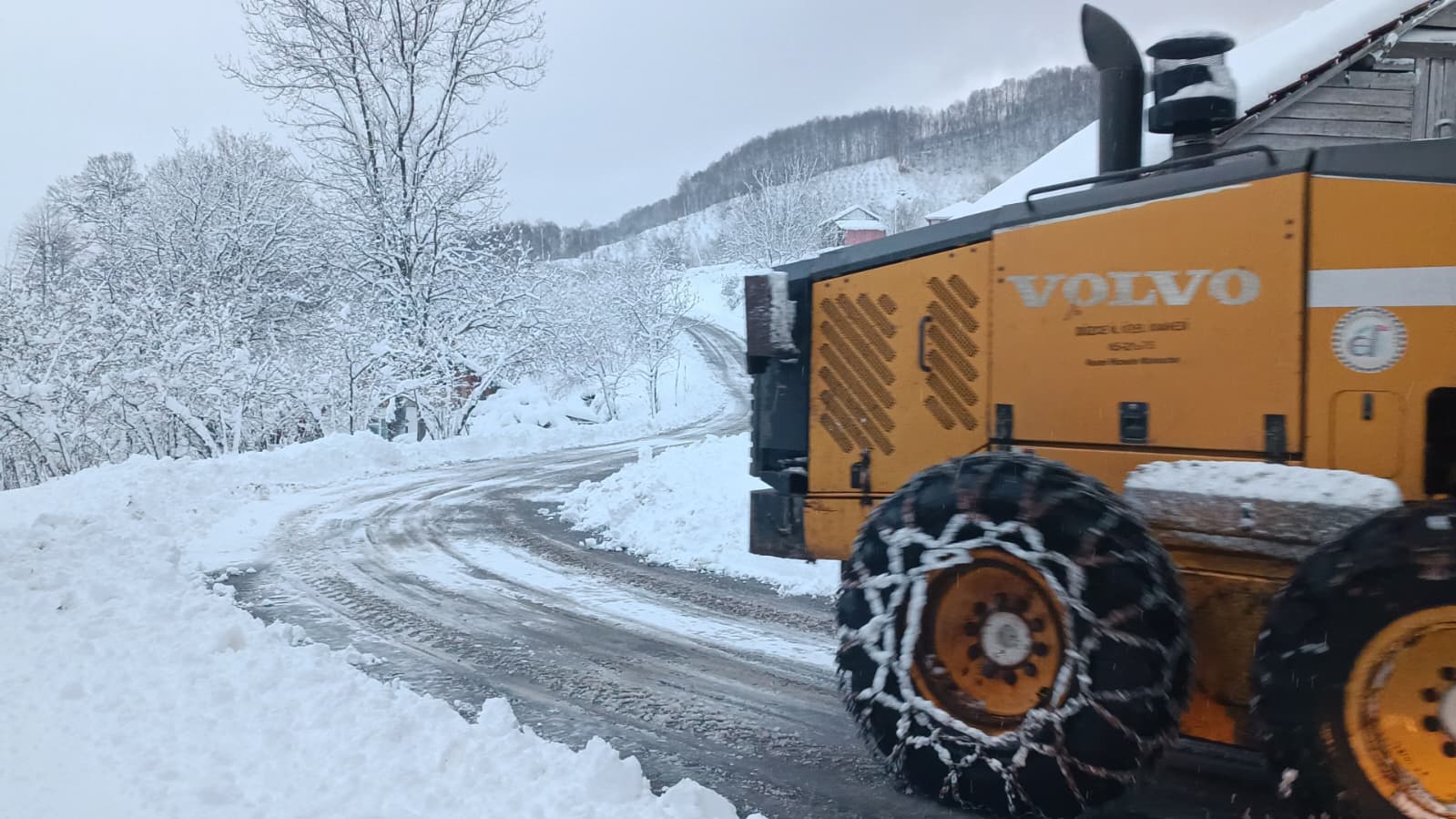 4B89B960 Ecb5 42D0 9306 6B4A338555Bb