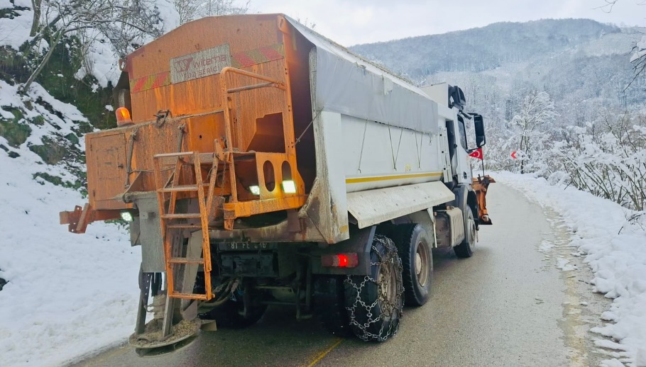 613769696 18088849796284741 1781628313203927509 N