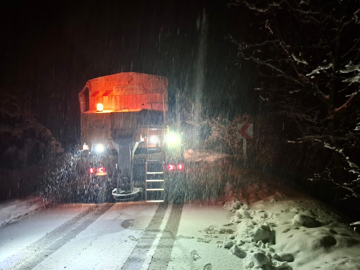 618634021 18089170523284741 336792986757980772 N