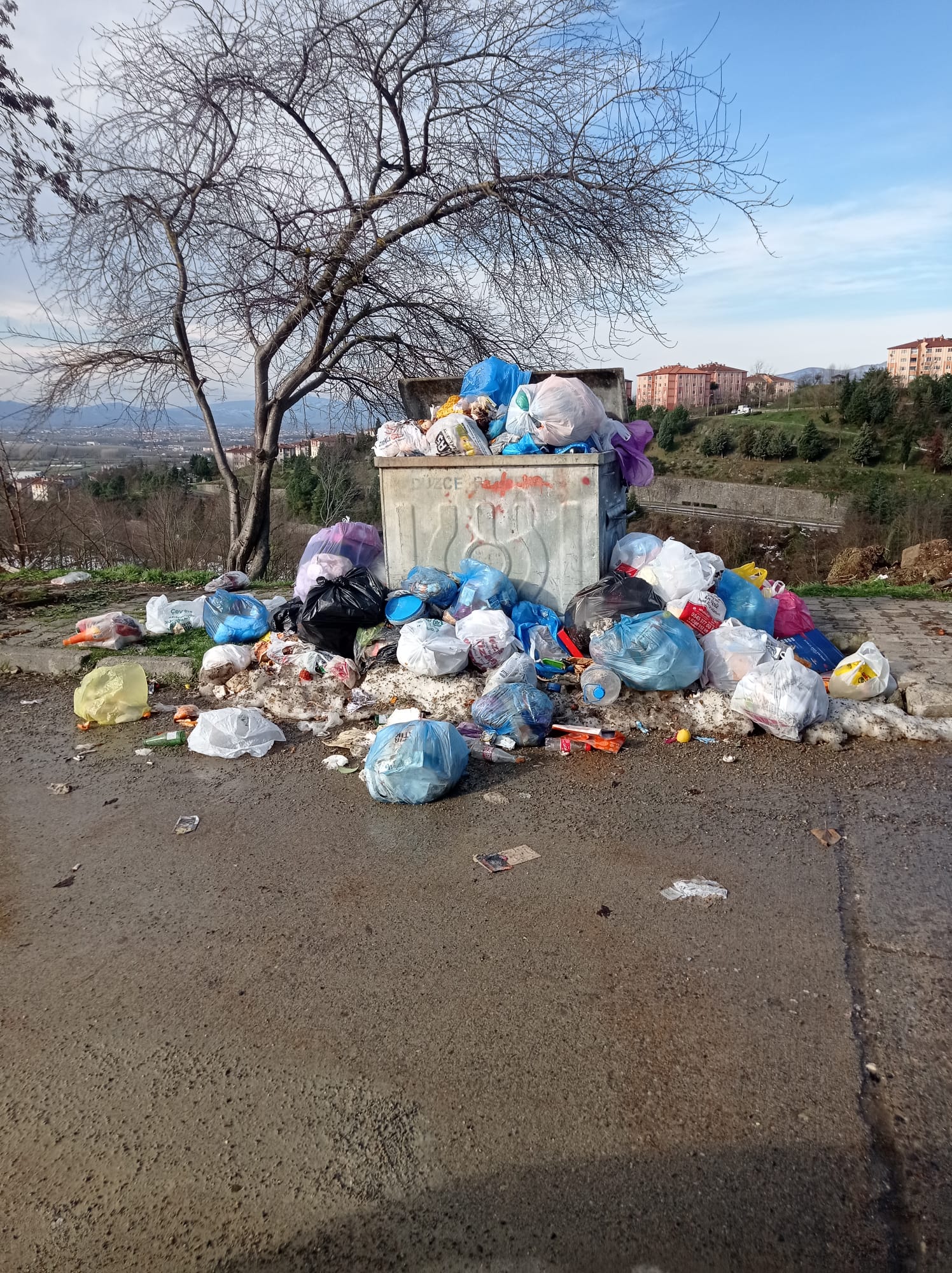 623100A6 06Ee 46Cc 96A8 7C306C7740F4-1