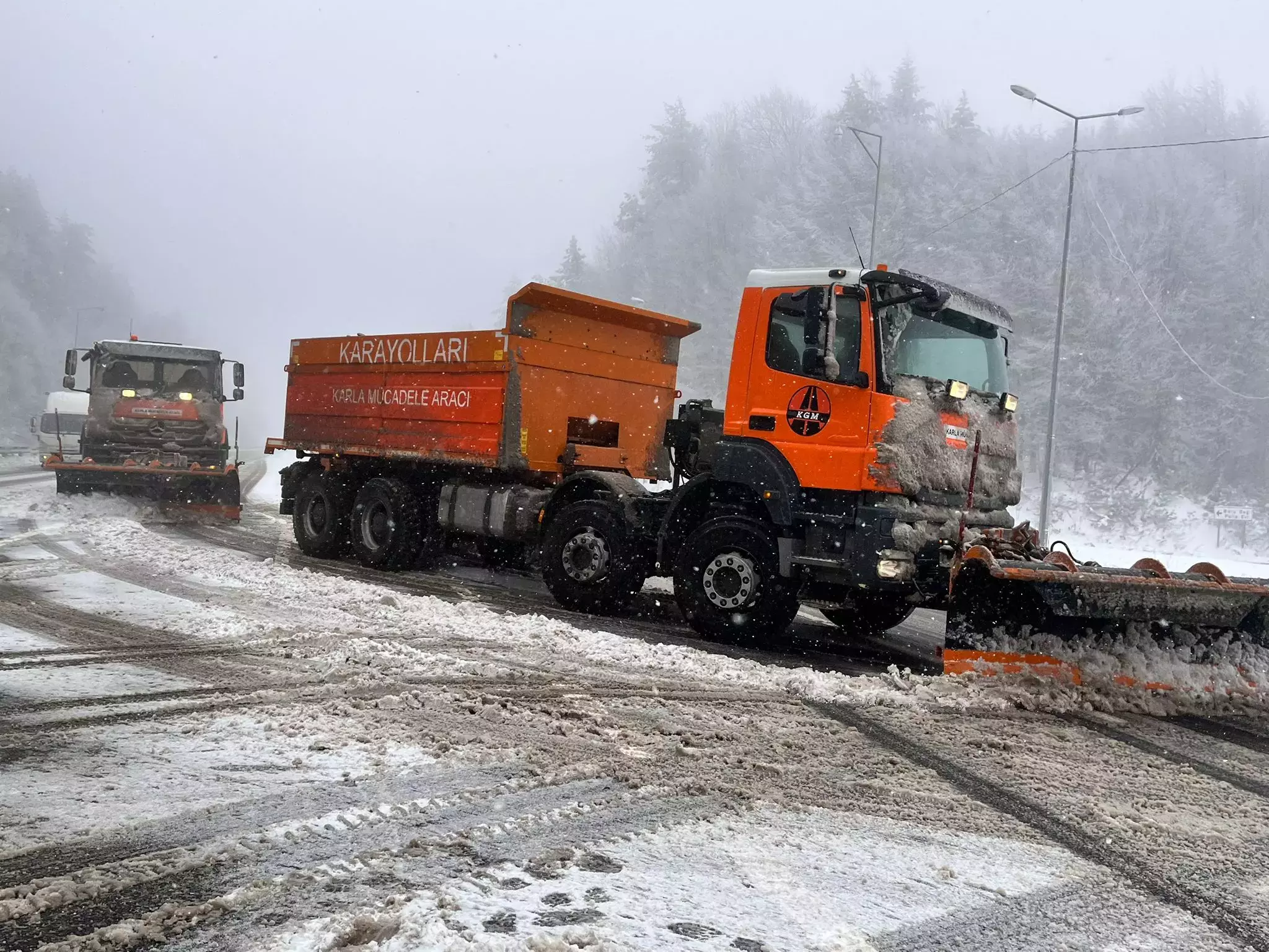 694F9D63544A84A3E491Db7D