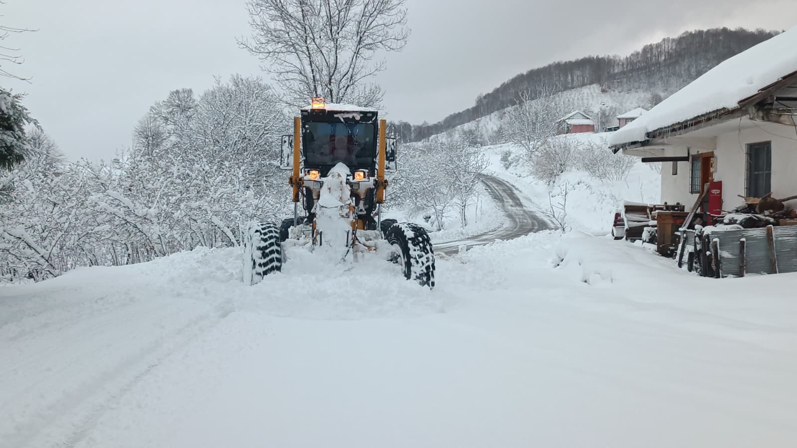 A7Eec4Cd Ef2F 46Cd B7A0 Ace21C8B639E