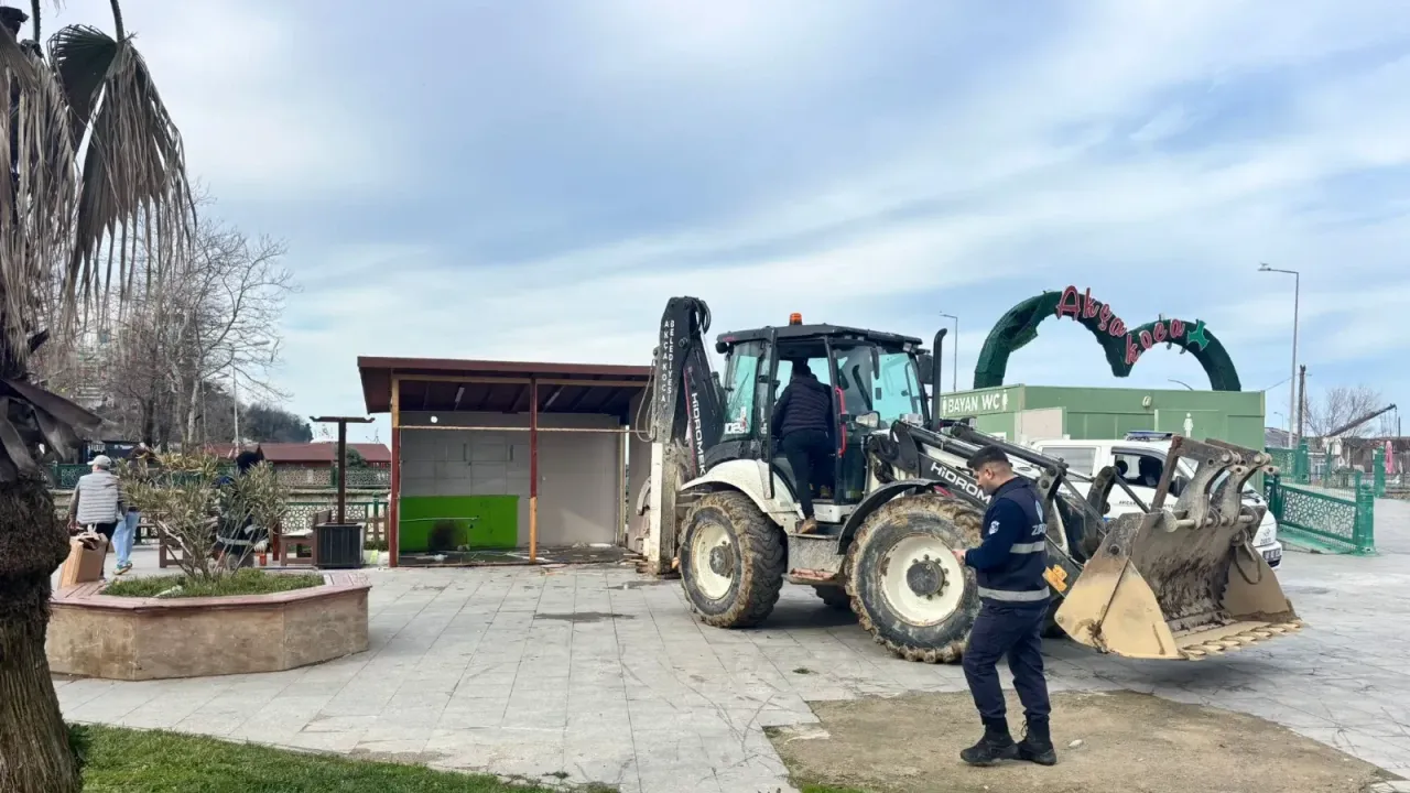 B2A09B56 E5A7 49Ba B4D4 Be0C1F2Dcedd 1769428126-1