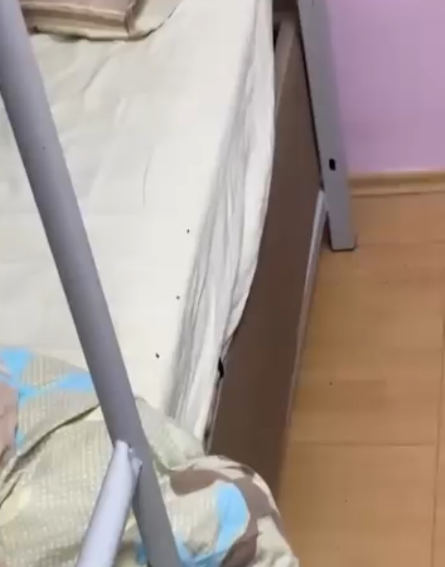 Ekran Görüntüsü 2025 10 05 132224-1