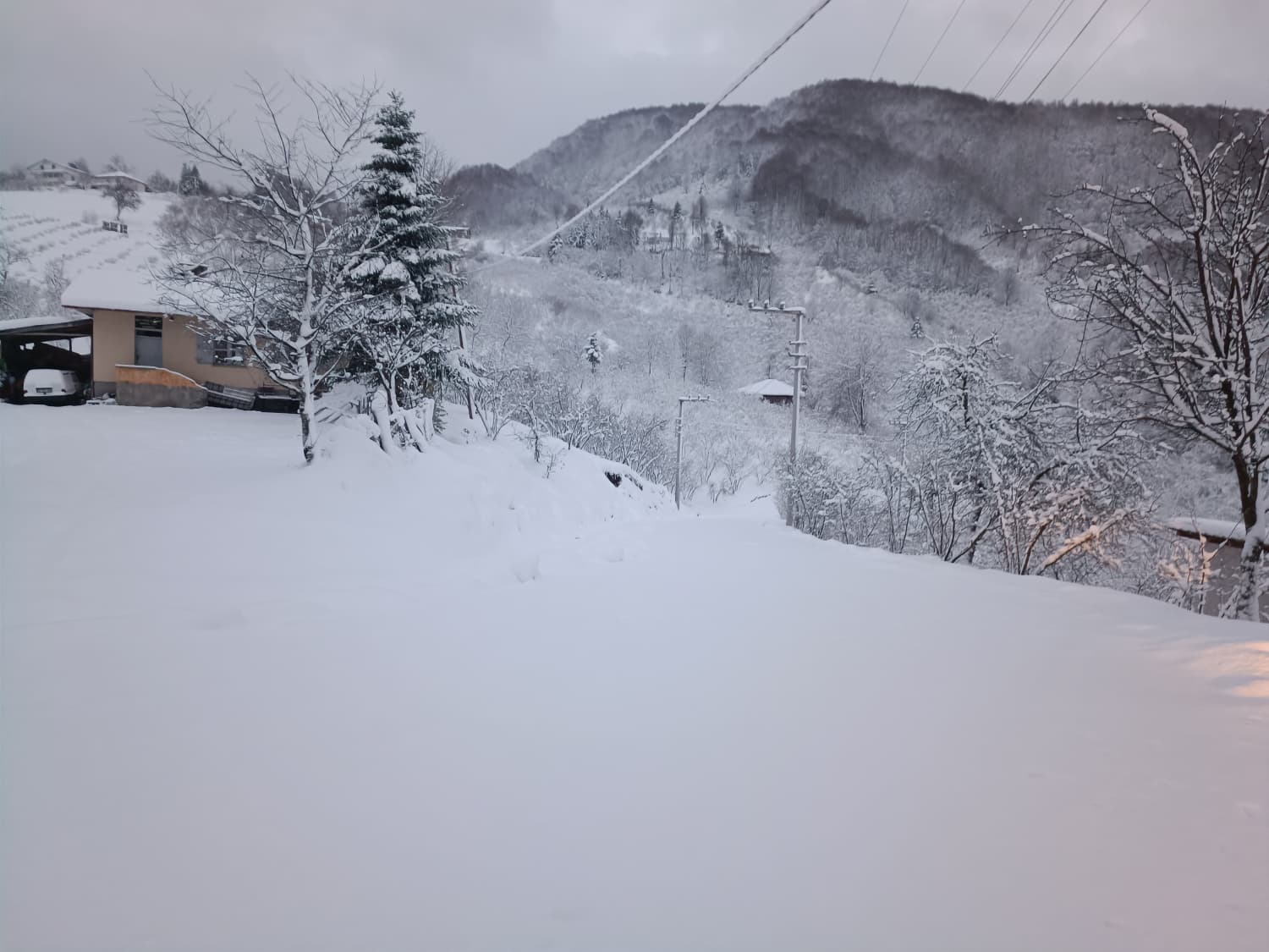 F0864Cfa A5A2 48Ba A143 4F753636E345