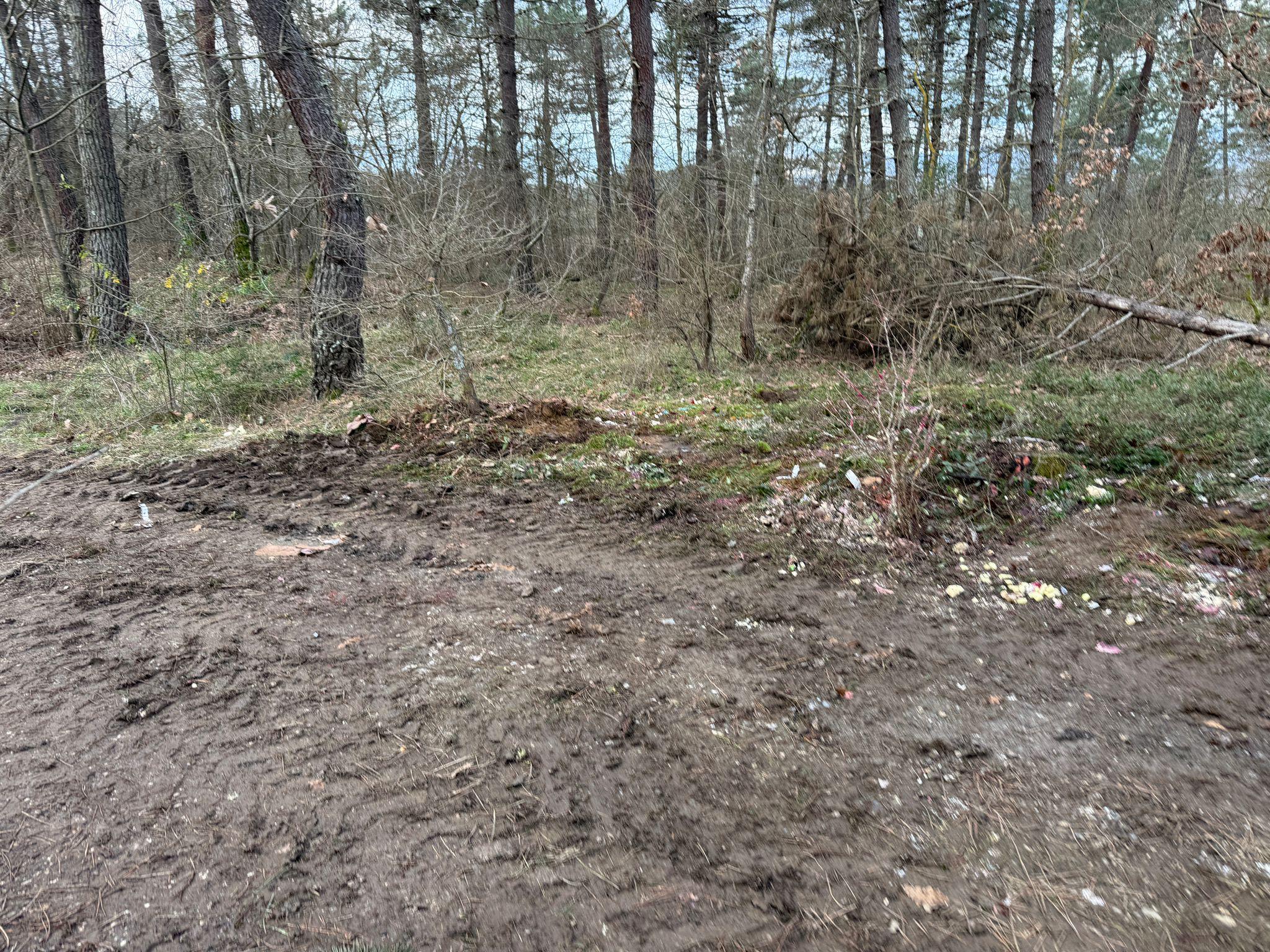 Kent Ormanı Temizlik (14)