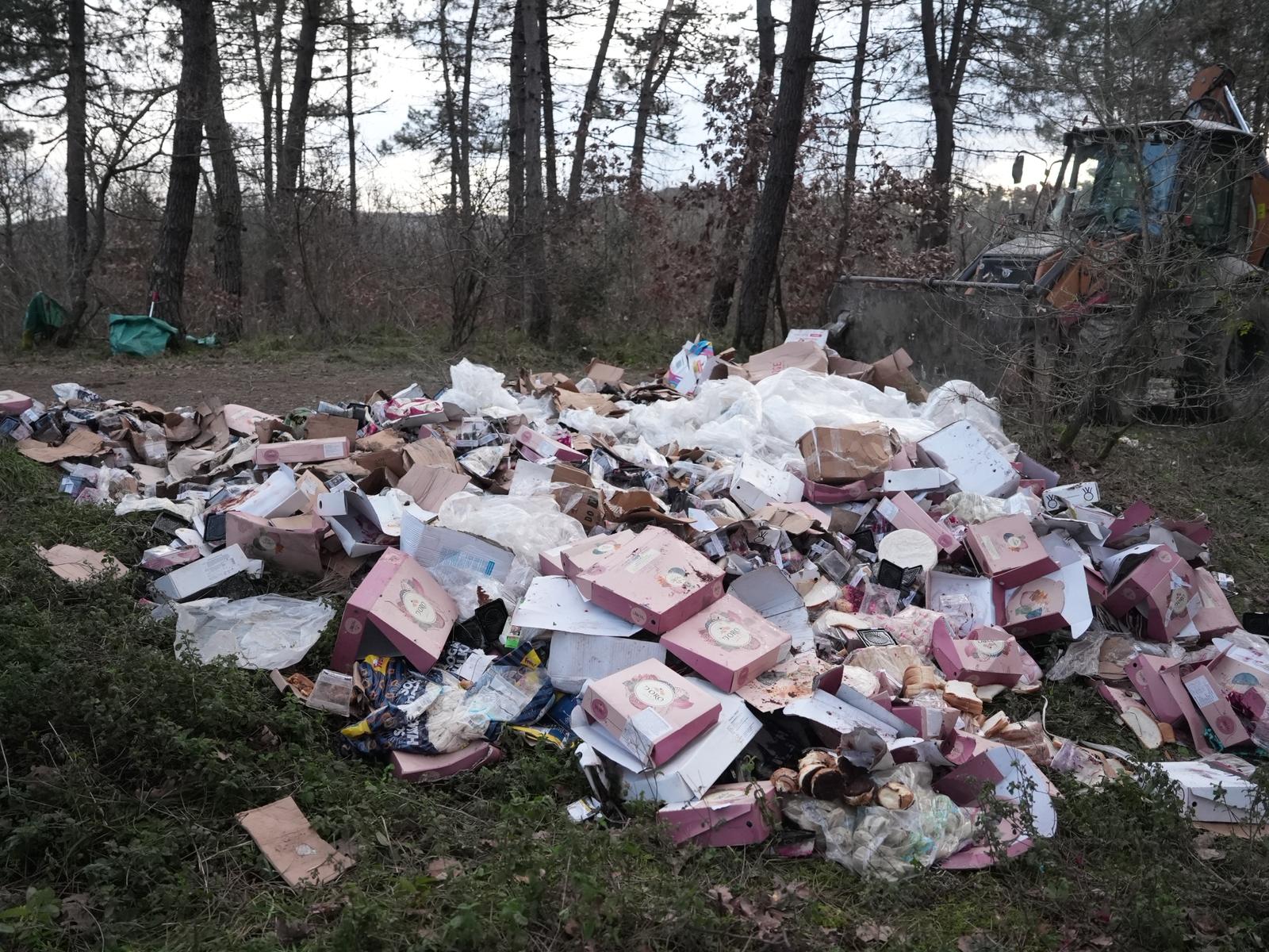 Kent Ormanı Temizlik (2)