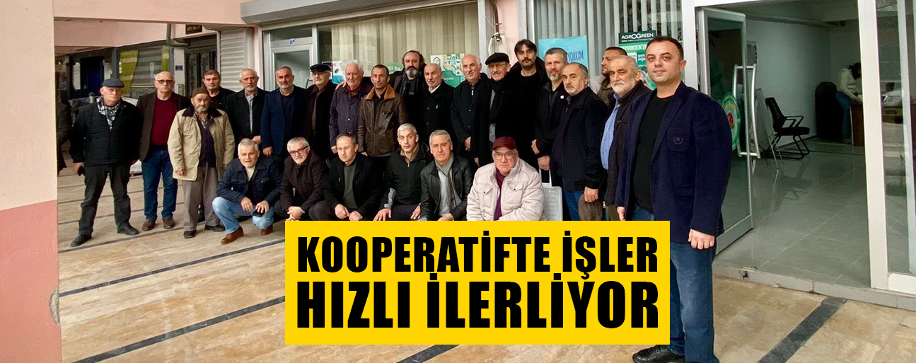 FINDIKÇILARIN YÜZÜ BU DEFA GÜLECEK GİBİ