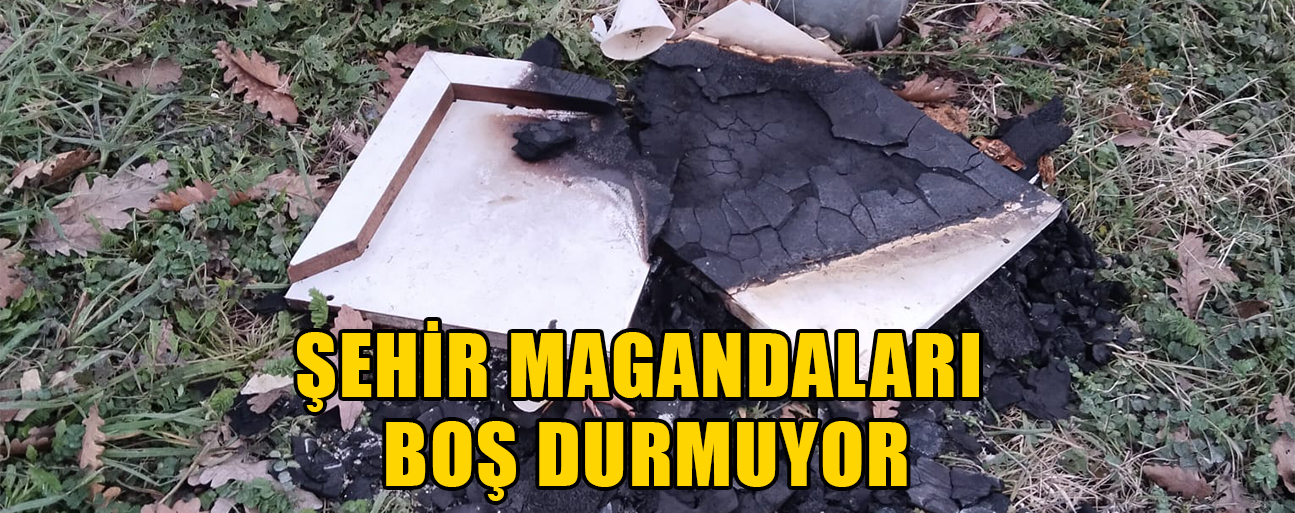 BÖLGE HALKI YETKİLİLERDEN YARDIM BEKLİYOR