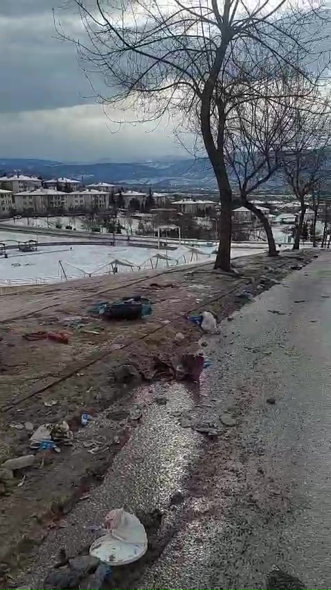 Vlcsnap 2026 01 04 11H39M56S755