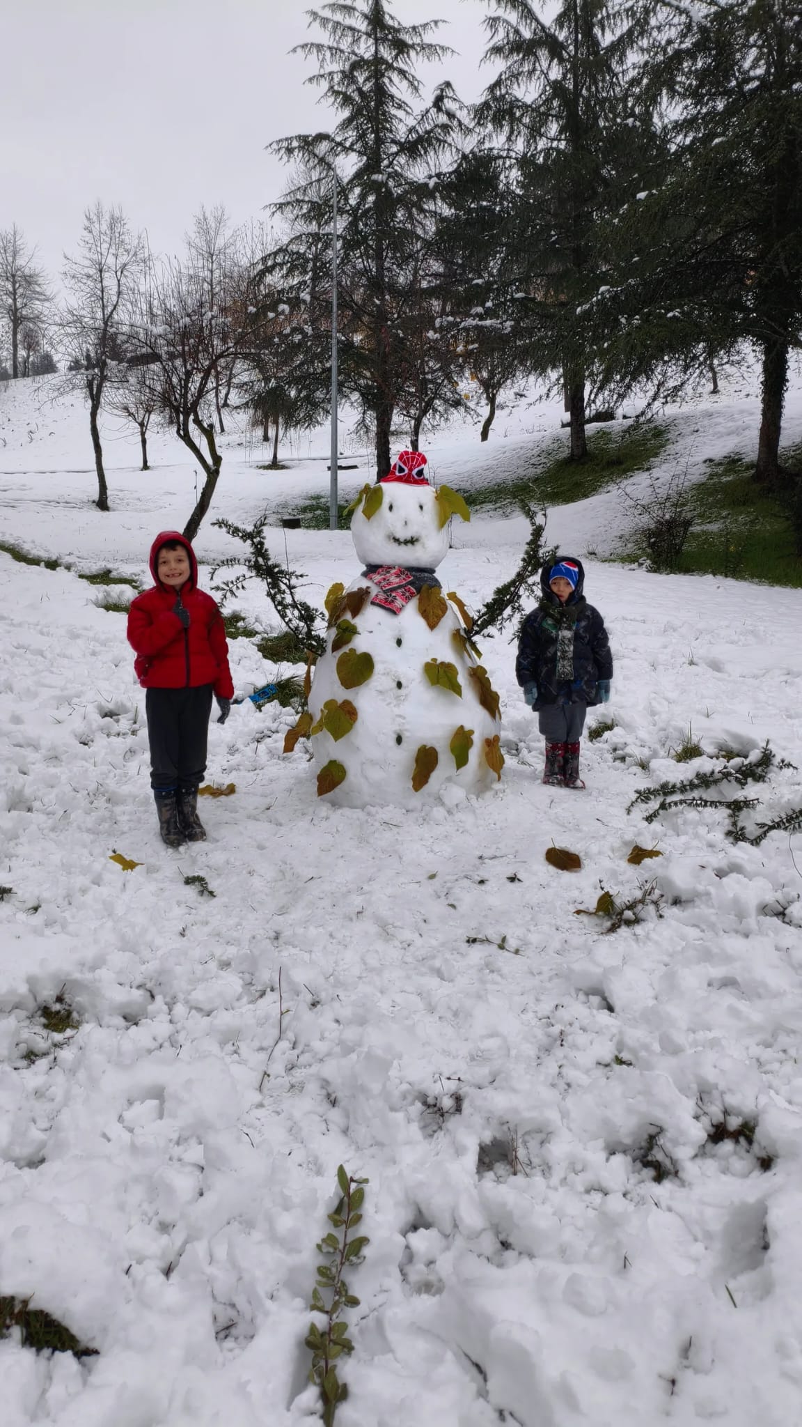 Whatsapp Image 2026 01 02 At 12.11.12