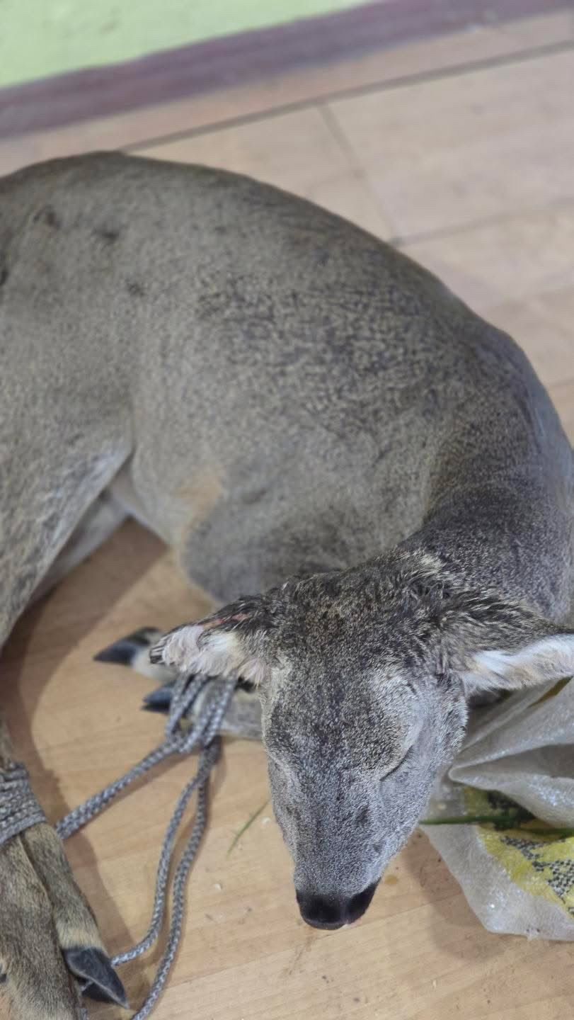 Whatsapp Image 2026 01 05 At 11.38.59