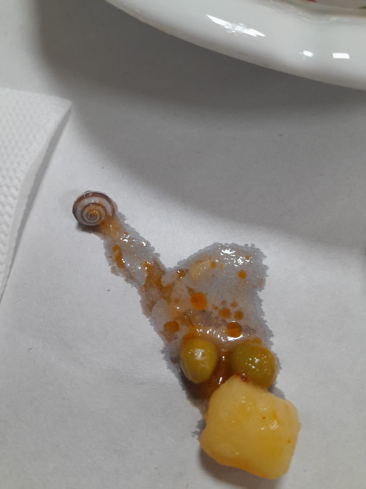 Whatsapp Image 2026 01 06 At 12.03.08-1