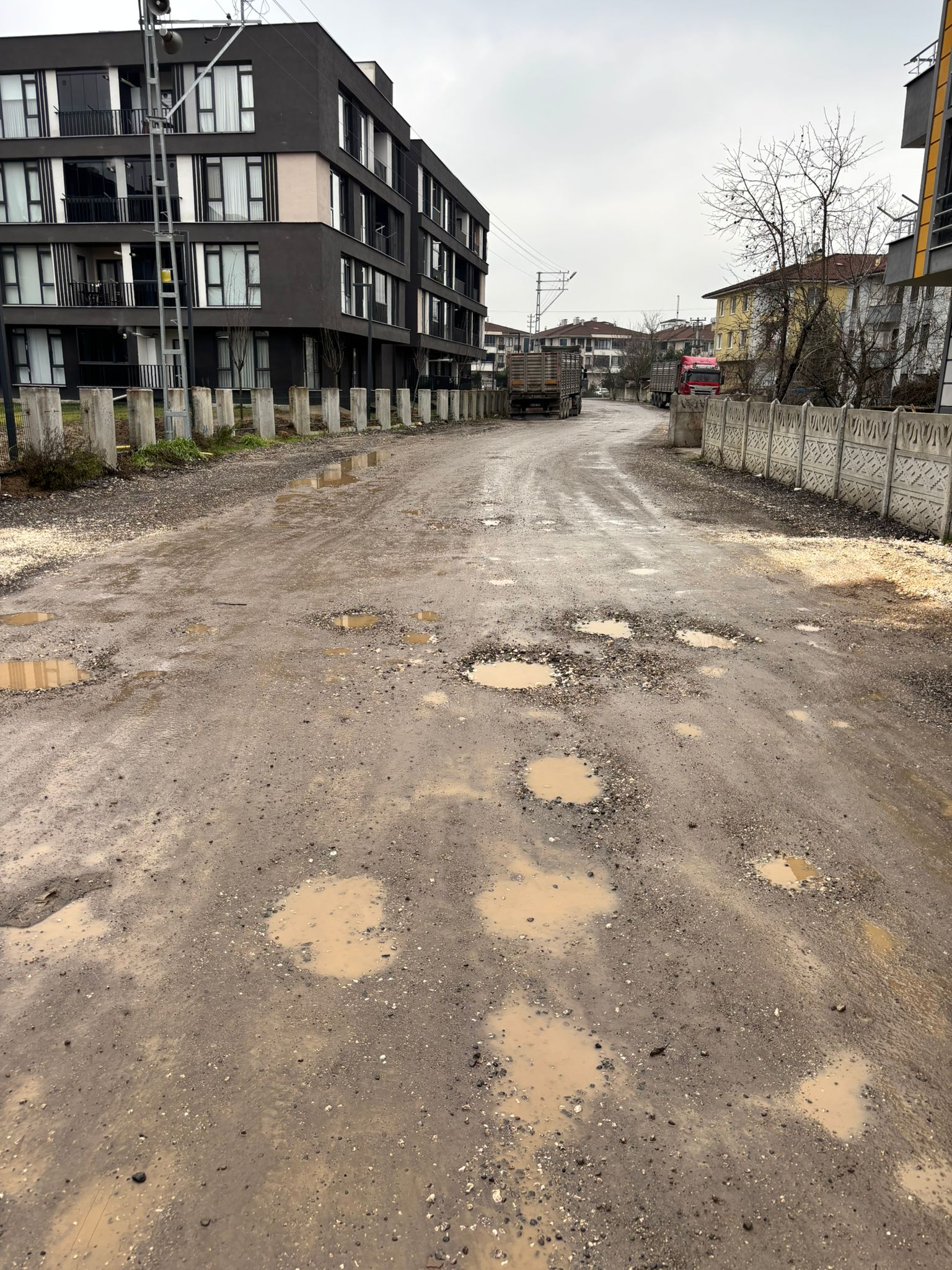 Whatsapp Image 2026 01 19 At 11.31.09