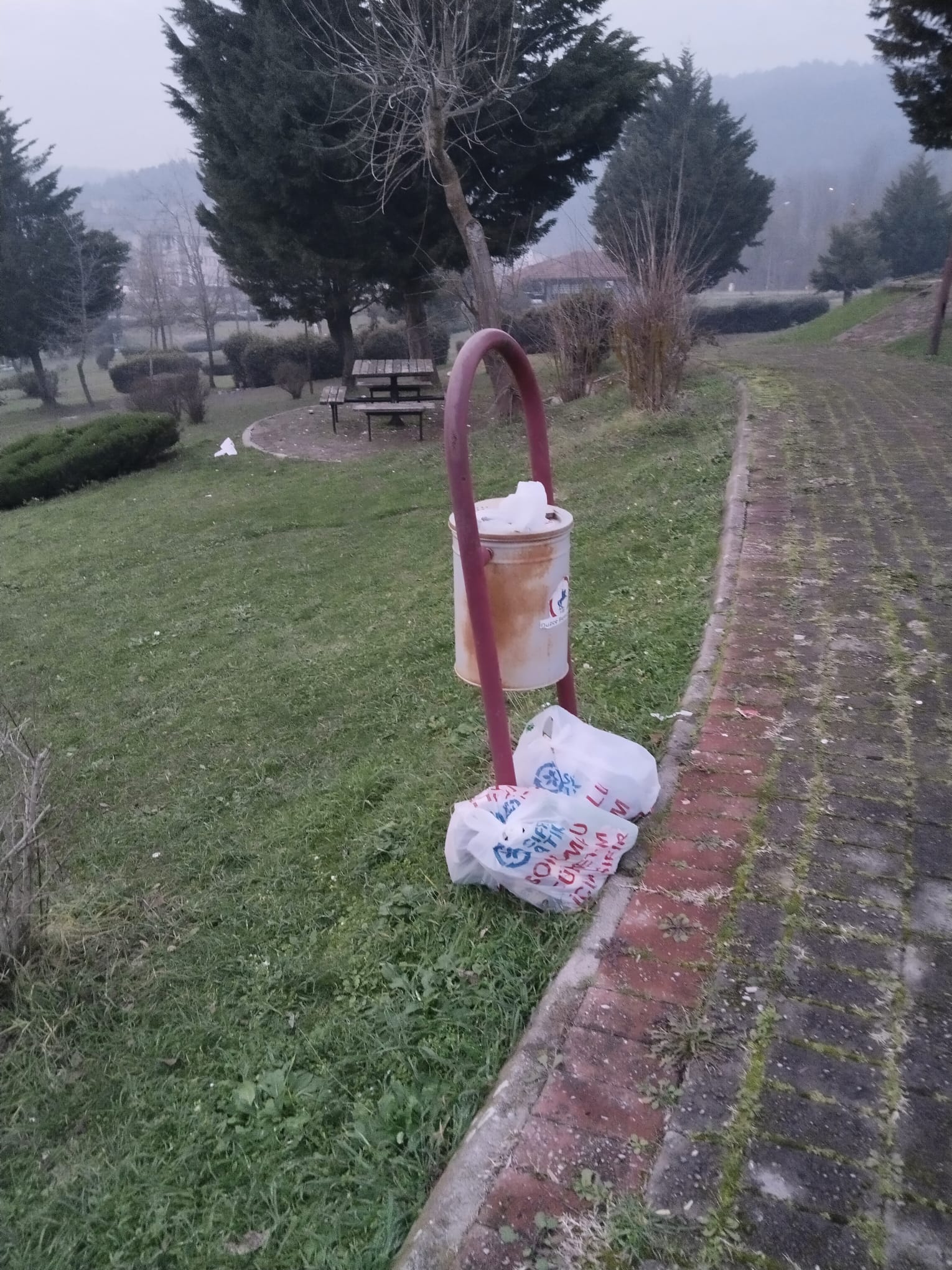 Whatsapp Image 2026 01 25 At 18.20.27