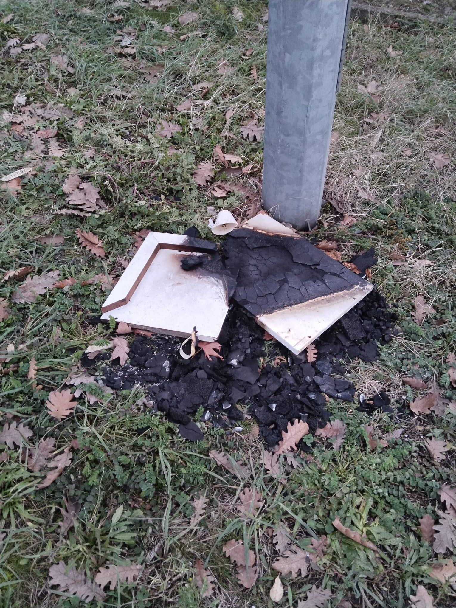 Whatsapp Image 2026 01 25 At 18.20.40