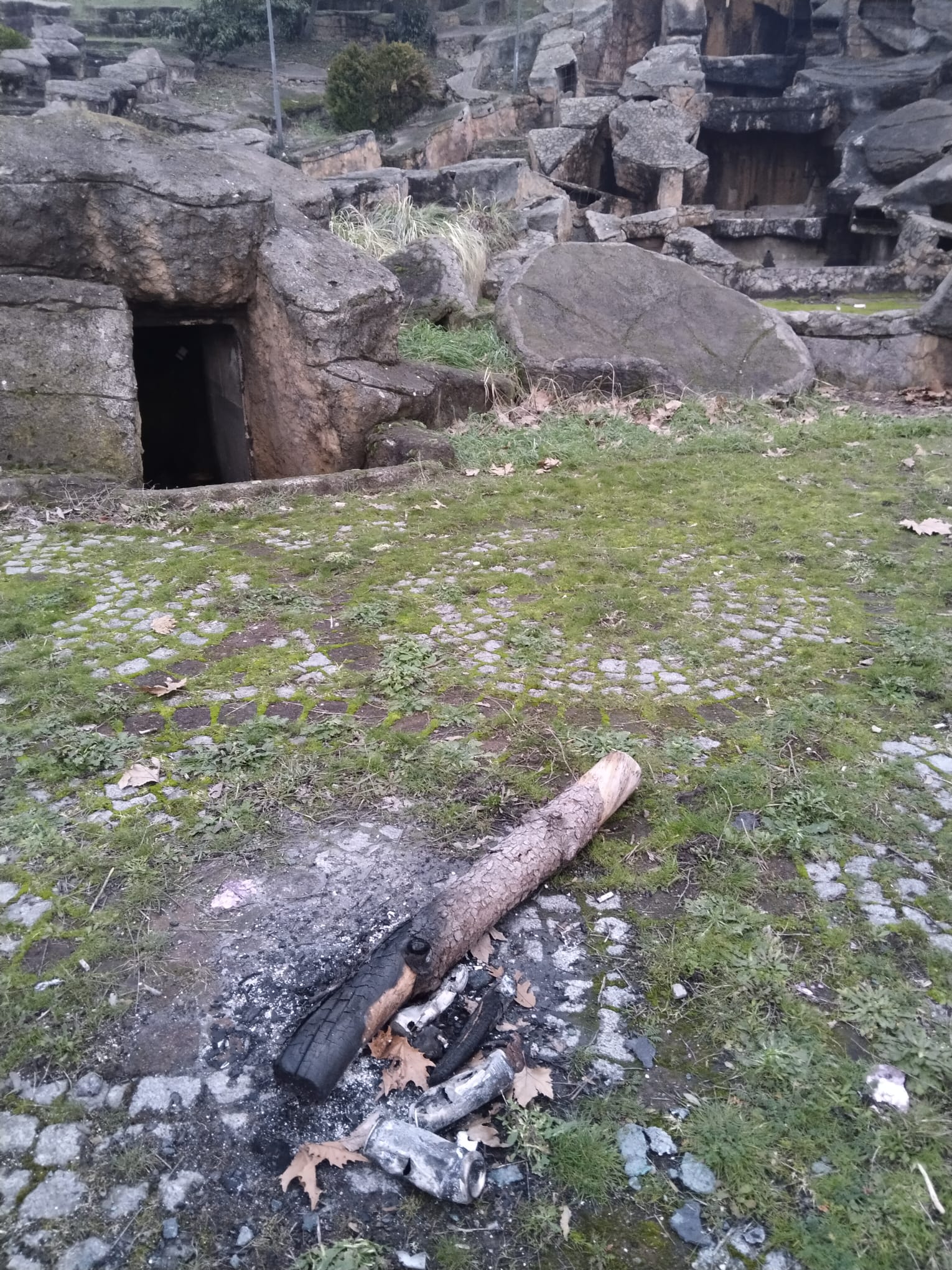 Whatsapp Image 2026 01 25 At 18.20.41 (3)