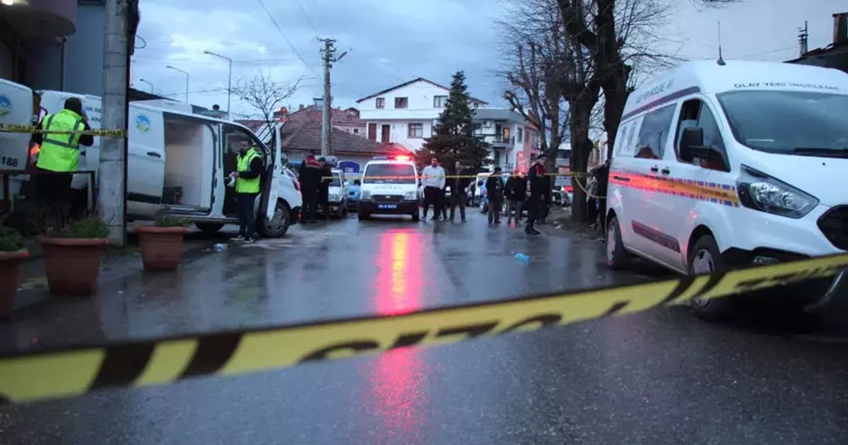 1770409170236 I M G3648 1Qvj25