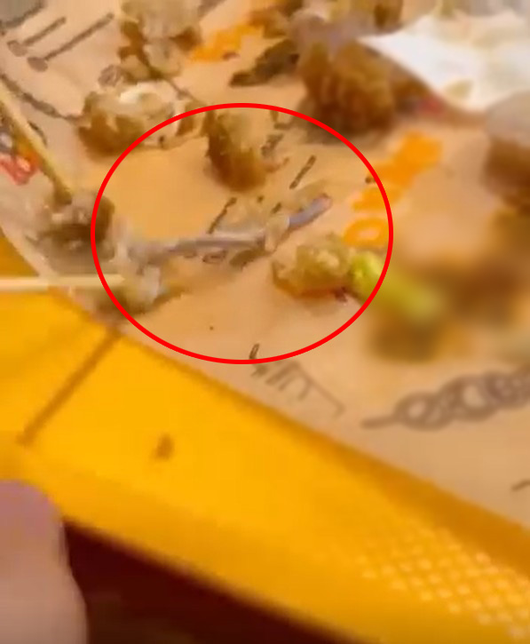 2026 02 12 112316 Blur3