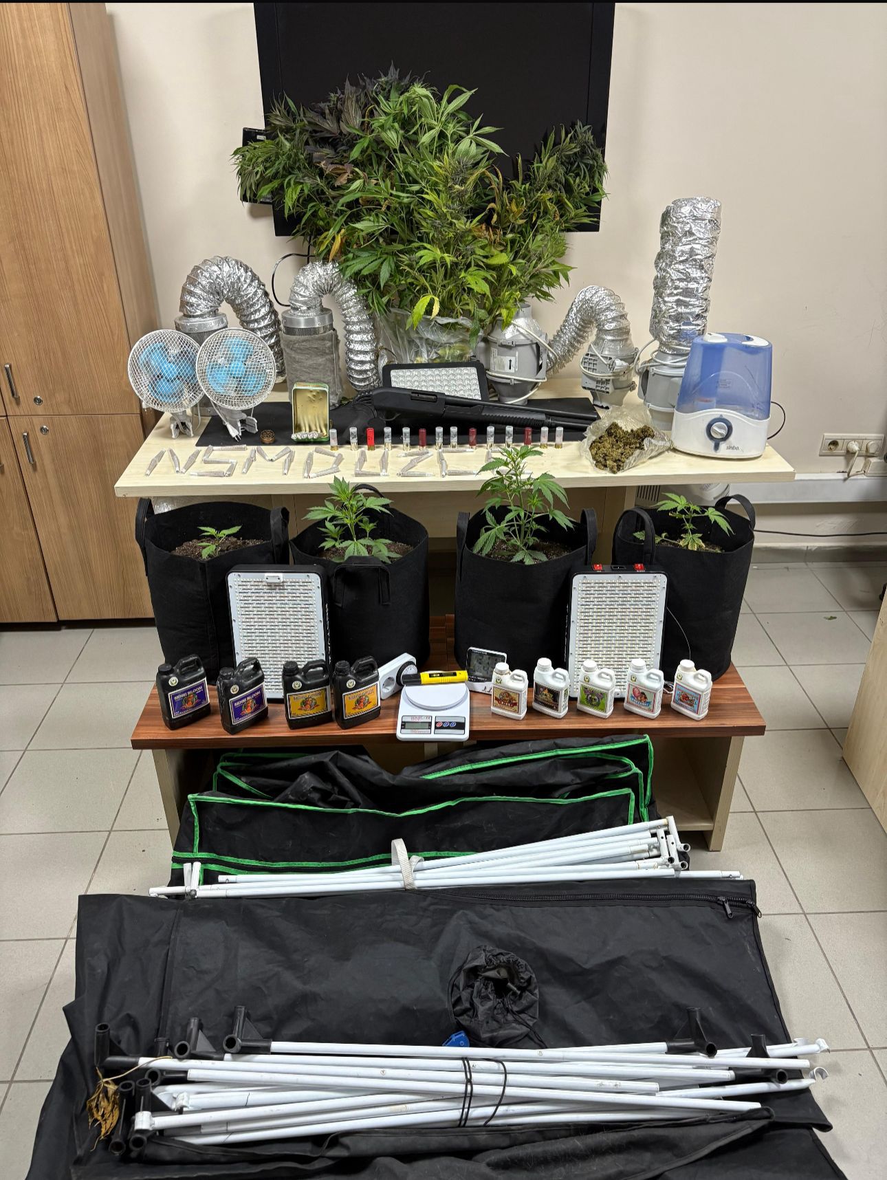 5B111Ce6 8F4F 4383 B5D2 E78297A24607