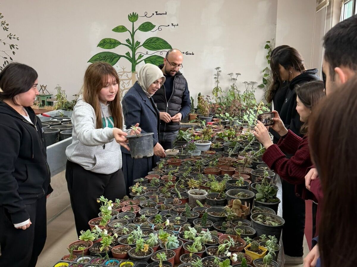 642982890 18109437898685375 7577599354151873188 N