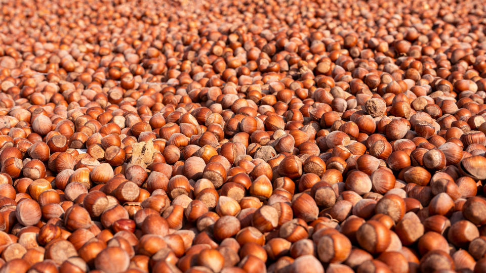 6760B3B54B1Bbd26612C6Ae7706758C3