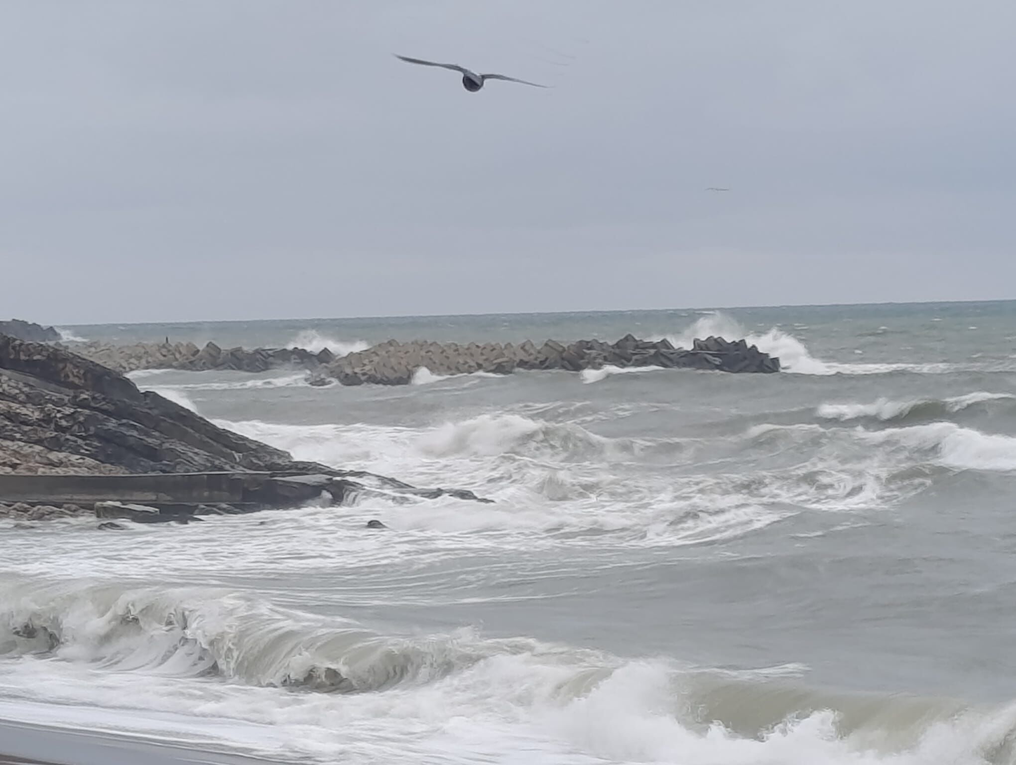 A A 20260225 40665524 40665522 D U Z C E D E K U V V E T L I R U Z G A R N E D E N I Y L E D A L G A B O Y U 3 M E T R E Y E U L A S T I