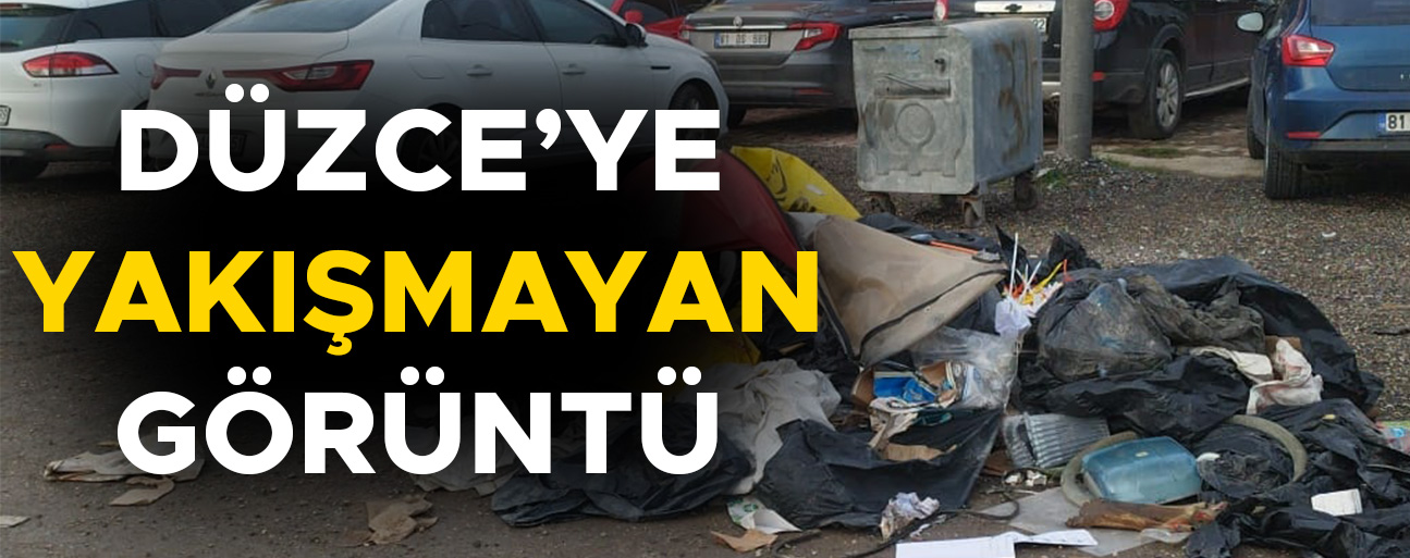 YOL KENARINA BIRAKILAN ÇÖPLER ‘BU KADARINA DA PES” DEDİRTTİ